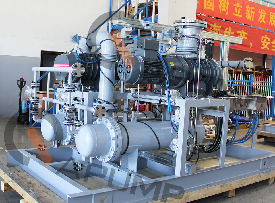 碳酸乙烯酯項目真空解決方案