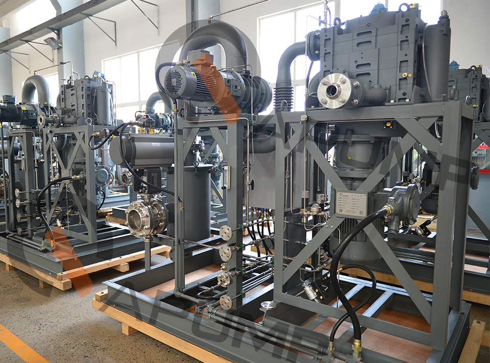 湖北某公司EDP真空系統(tǒng)裝置